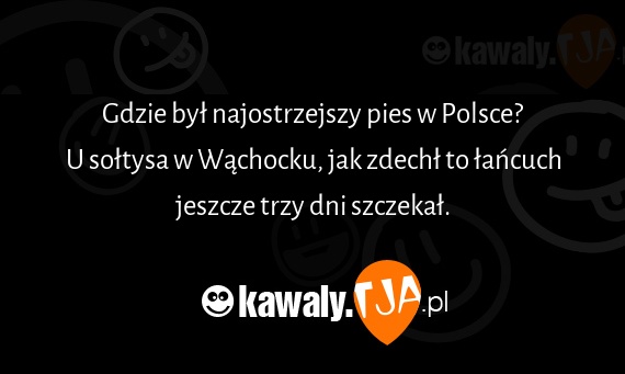 Gdzie był najostrzejszy pies w Polsce?
<br>U sołtysa w Wąchocku, jak zdechł to łańcuch jeszcze trzy dni szczekał.